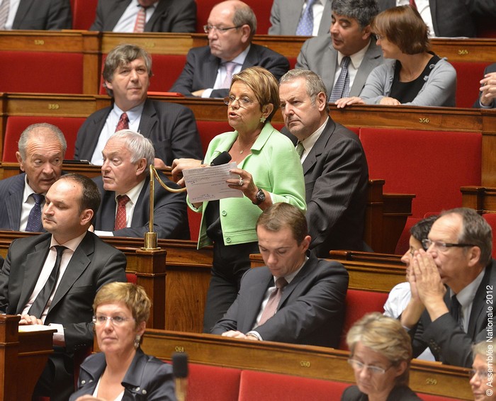 Monique Iborra, Députée PS de Haute Garonne